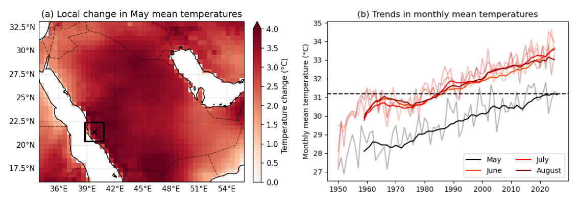 Figure 1: (a) Estimated local increase in May mean temperatures across Saudi Arabia, compared to a 1.3°C cooler climate. Mecca (39.8E, 21.4N) is marked with a cross. Box shows the study region, a 2° square box centred on Mecca. (b) Monthly mean temperatures over land surface within the study region. Transparent lines show monthly maximum or mean per calendar month; bold lines show a 10-year rolling mean. Dashed line shows the 10-year mean from 2016-2025; May mean temperatures have now reached levels that, prior to 1980, would have only been experienced during the summer months. All data: ERA5.