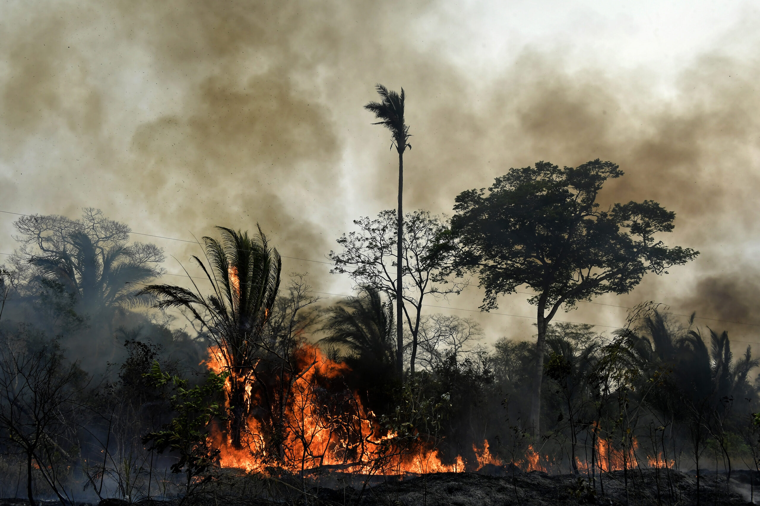 Wildfires burn through forest in Bolivia emitting large amounts of smoke.