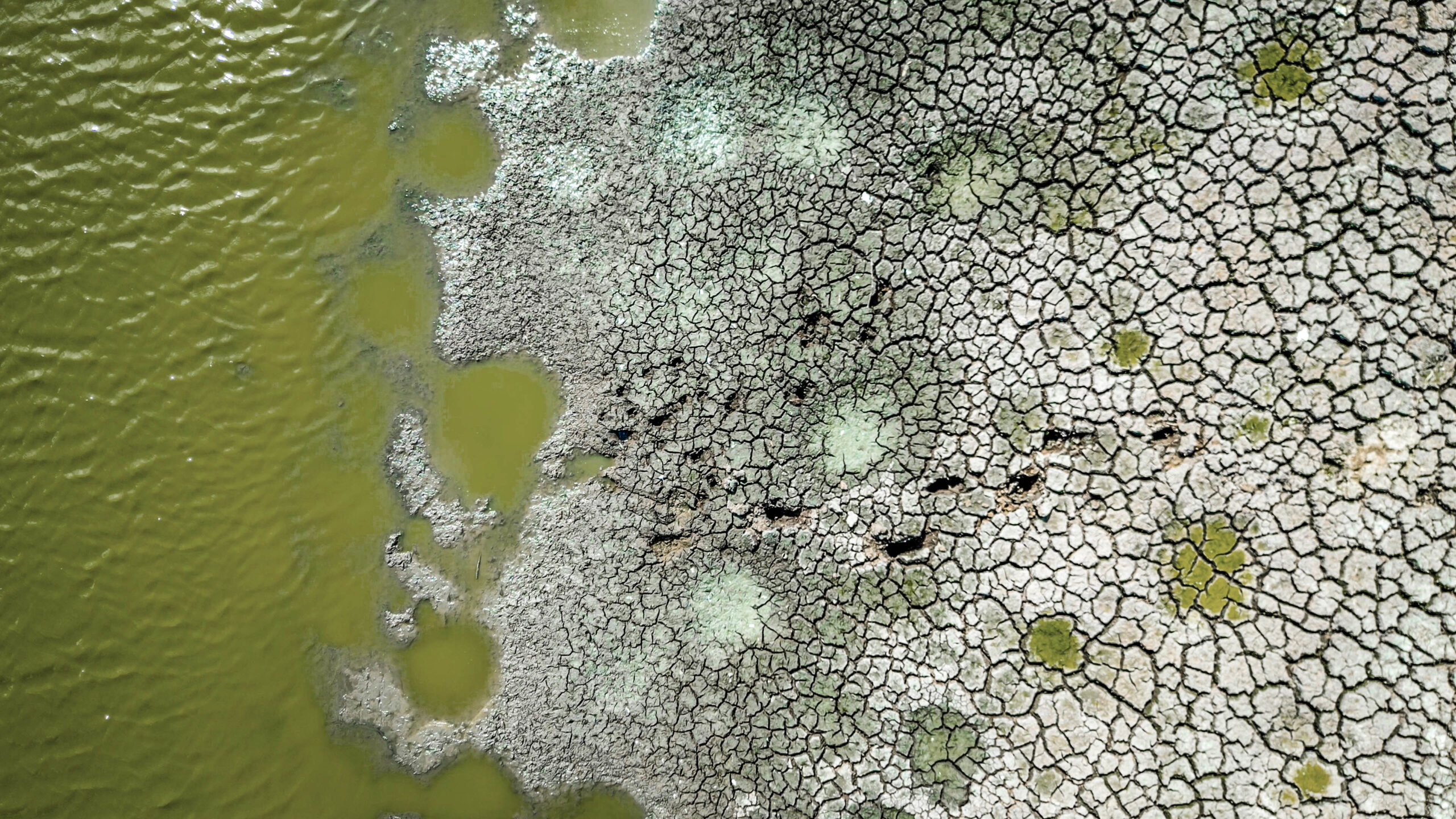 Cracked earth at a farm in Puerto Rico. Photo: USDA Forest Service photo by Preston Keres