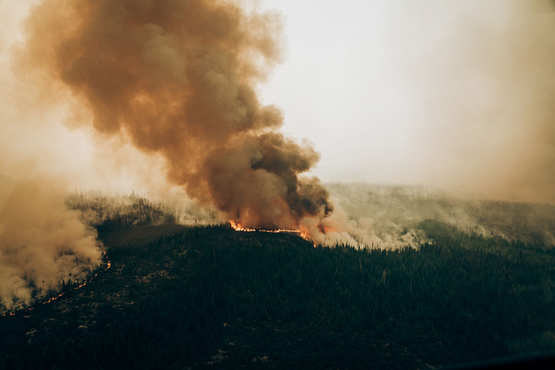 An aerial photo of wildfires in Quebec, Canada with dense, dark smoke plumes.