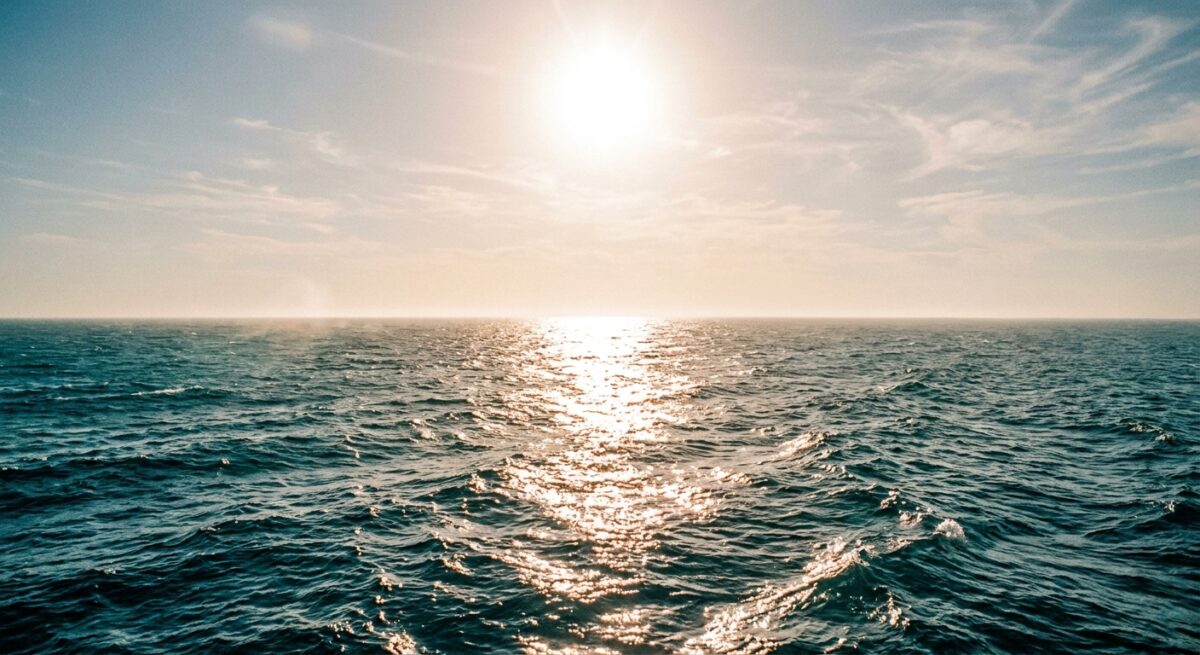 The waters surrounding Europe are heating faster than the climate as a whole with implications for nature, food systems and coastal communities.