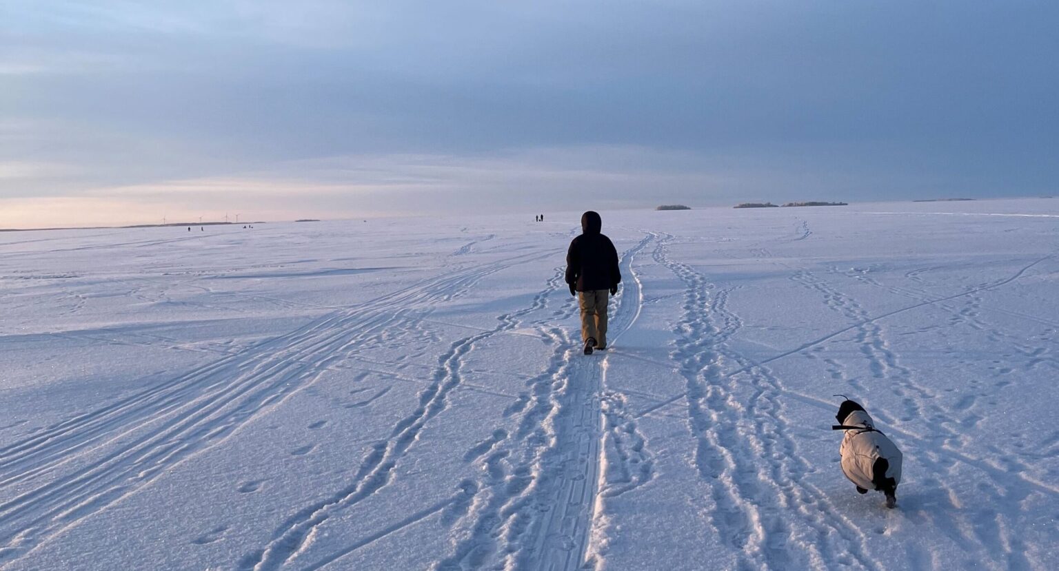 A person walks in the snow followed by a dog in Finland. The land is very flat and they sky is grey with orange on the horizon.