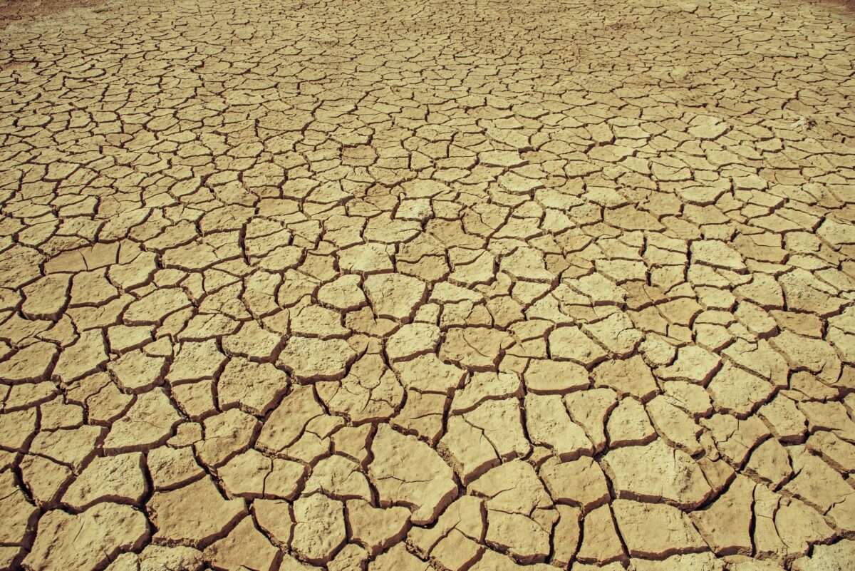Brown cracked earth in a drought