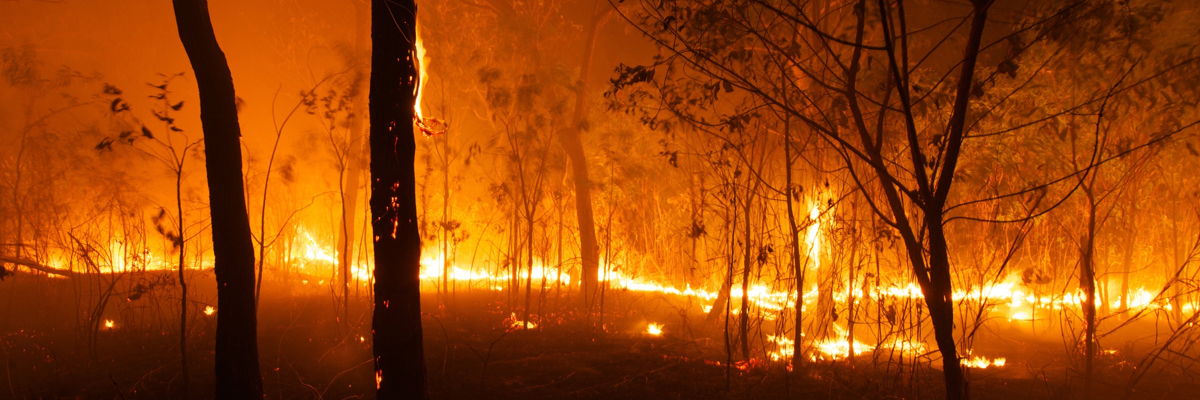 Bushfire Risk