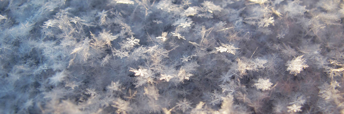 Snowflakes, Photo by Kalle Kortelainen on Unsplash