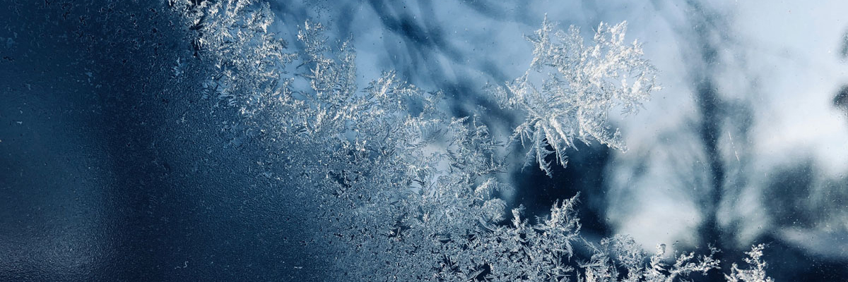 Human-caused climate change increased the likelihood of early growing  period frost in France – World Weather Attribution