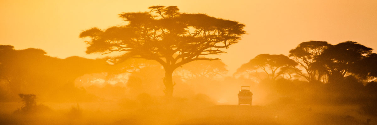 Drought in Kenya, Photo by Sergey Pesterev on Unsplash