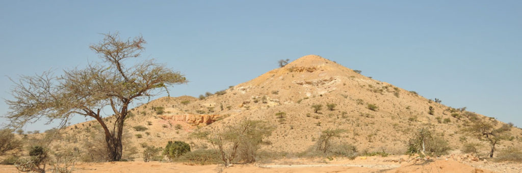 Somali landscape