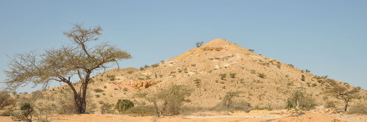 Somali landscape
