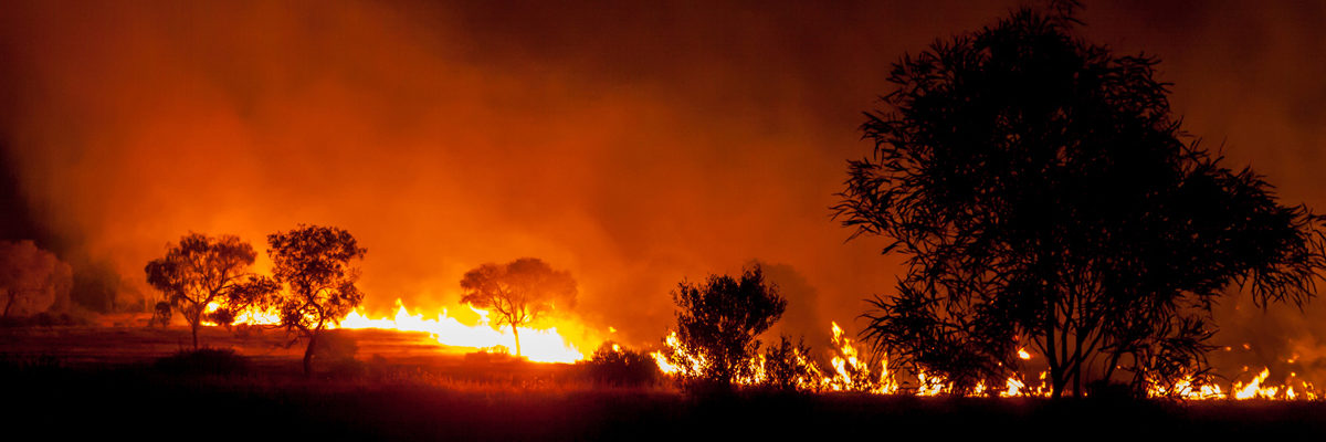 Bushfire in Australia